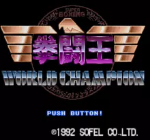 Image n° 1 - screenshots  : Kentou-Ou World Champion